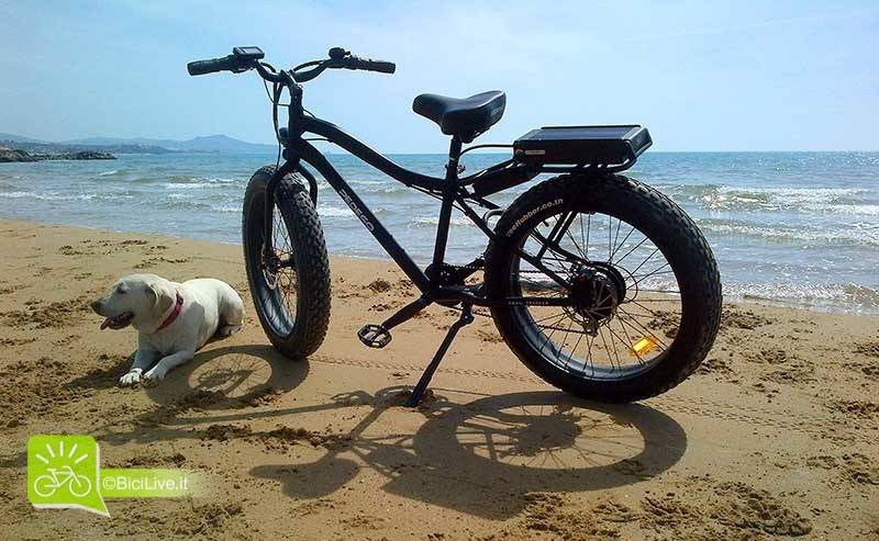 La fat bike elettrica Pedego Trail Traker 250 sulla spiaggia con un cane