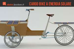 cargo bike energia elettrica
