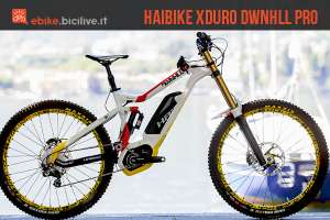 foto della Haibike xduro dwnhll pro di profilo