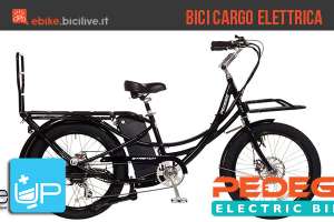 La bicicletta cargo elettrica Pedego Stretch