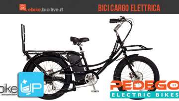 La bicicletta cargo elettrica Pedego Stretch
