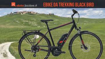 bici elettrica da trekking Black Bird