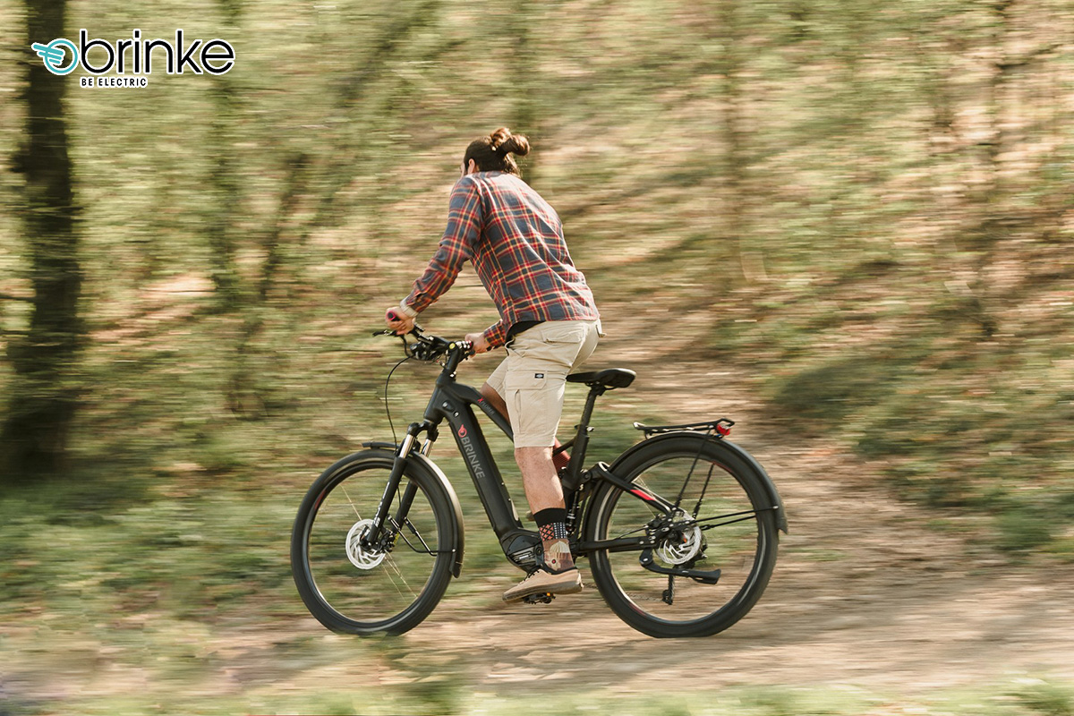 Una bici elettrica da trekking Brinke Bike 2021
