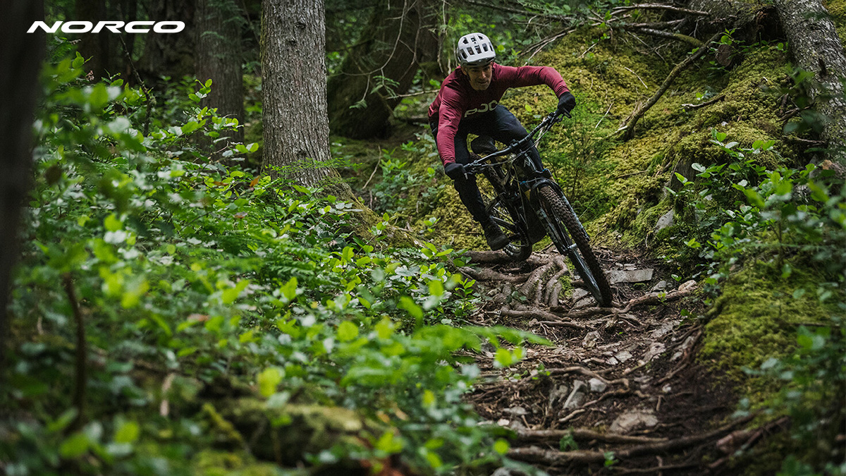 Un rider pedala nel bosco con una nuova emtb Norco 2022