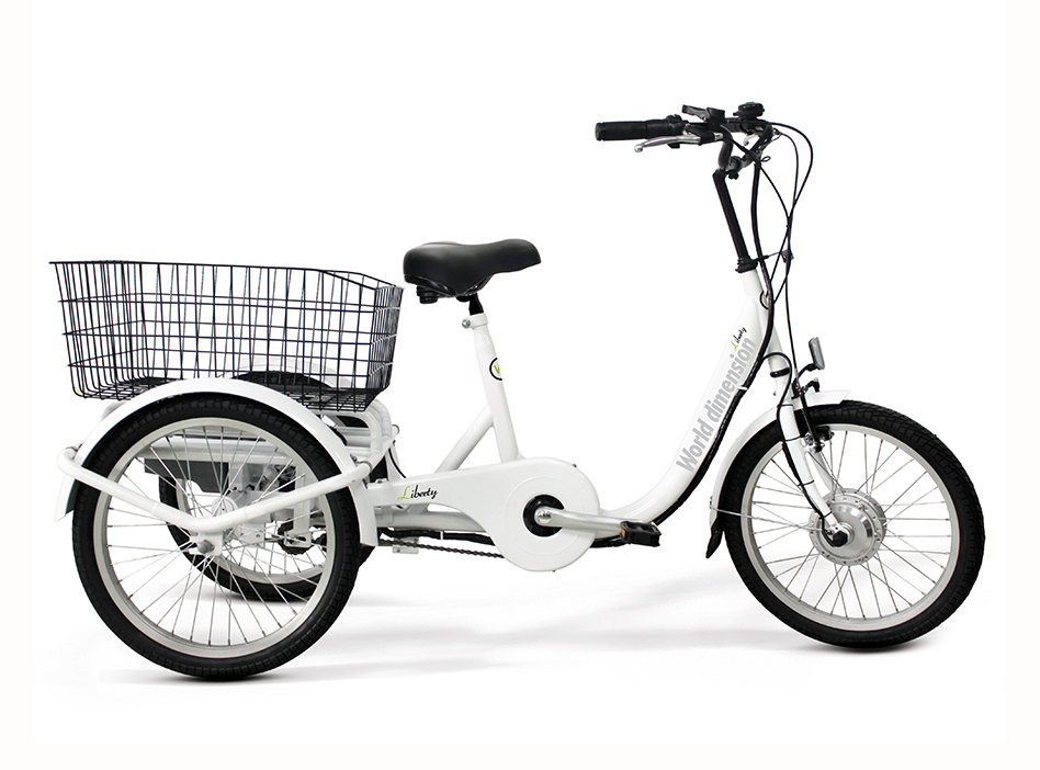 La foto di una bicicletta elettrica modello E.Adventure della World Dimension